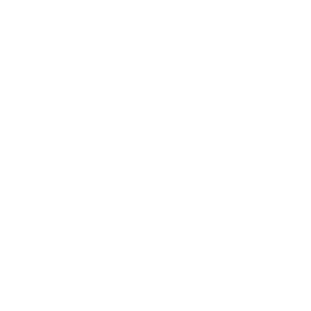 Expert Craft
